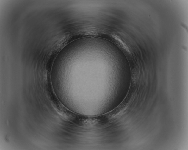 X0000091290213200708311324