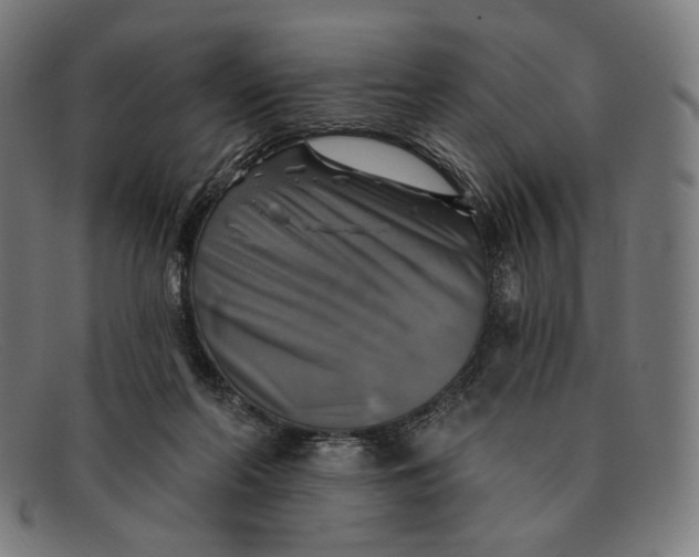 X0000091290214200708311324