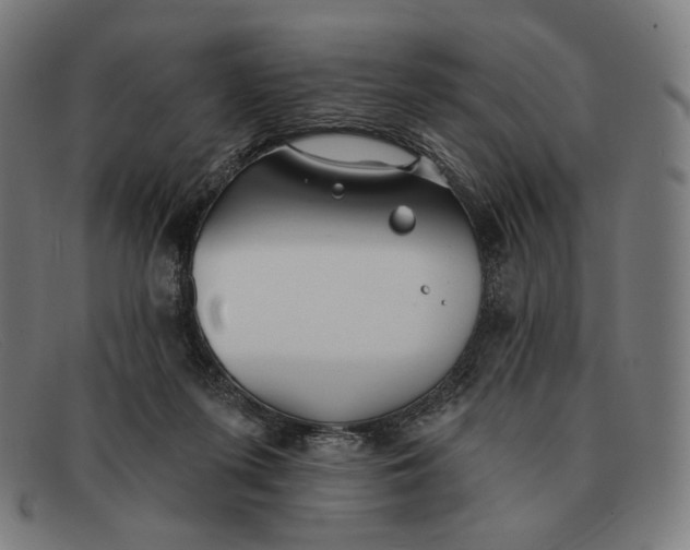 X0000091290215200708311324