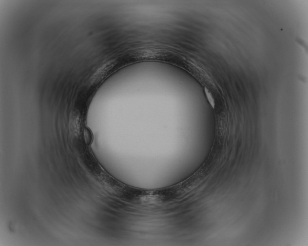 X0000091290216200708311324