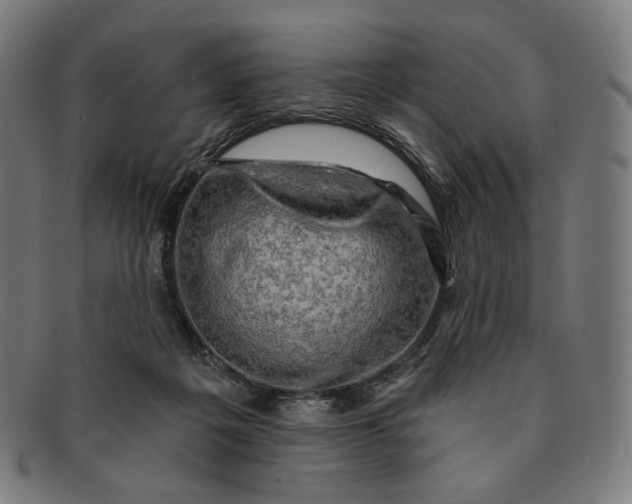 X0000091290217200708311324