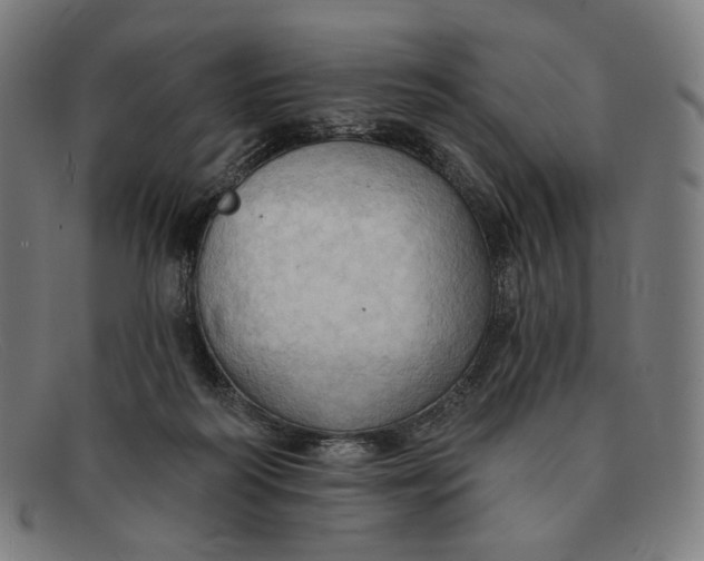 X0000091290218200708311324