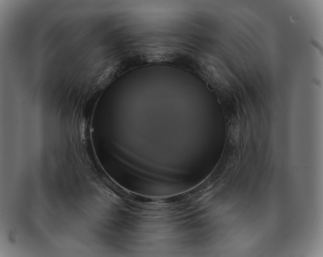 X0000091290219200708311324