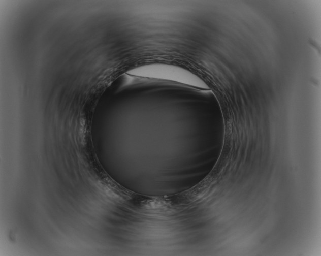 X0000091290223200708311324