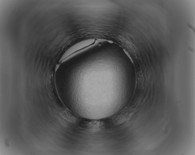 X0000091290225200708311324