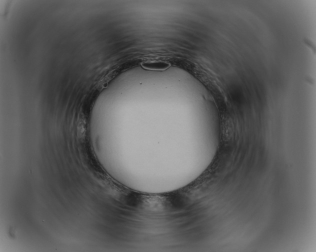 X0000091290226200708311324