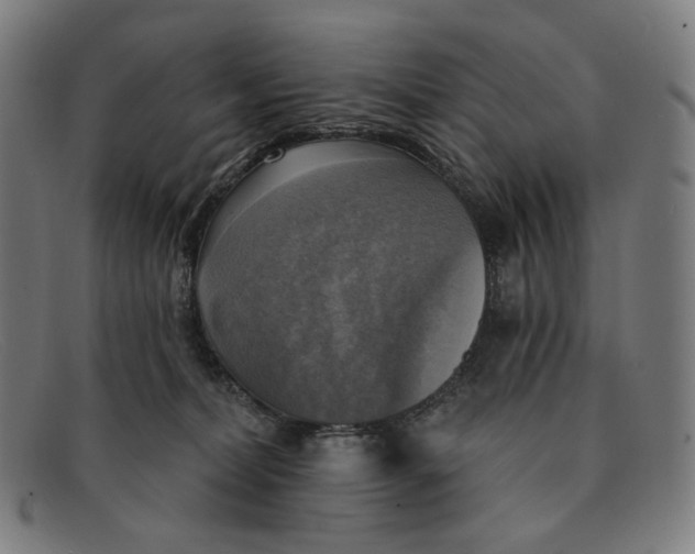 X0000091290228200708311324