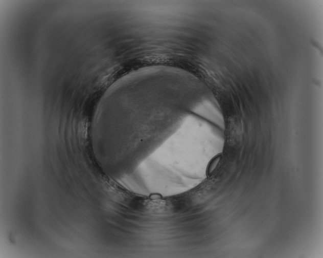 X0000091290230200708311323