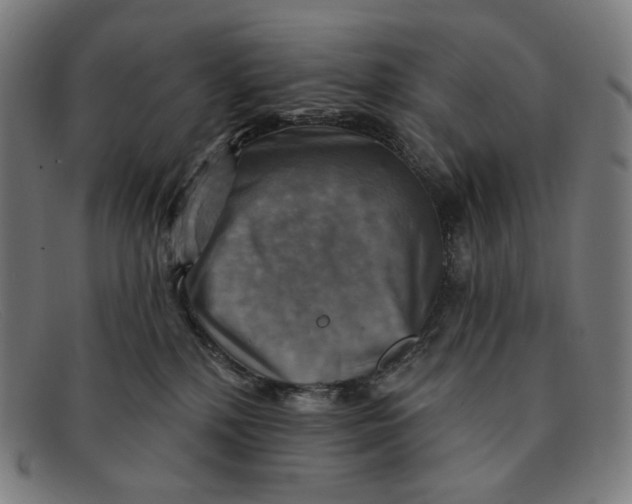 X0000091290232200708311323