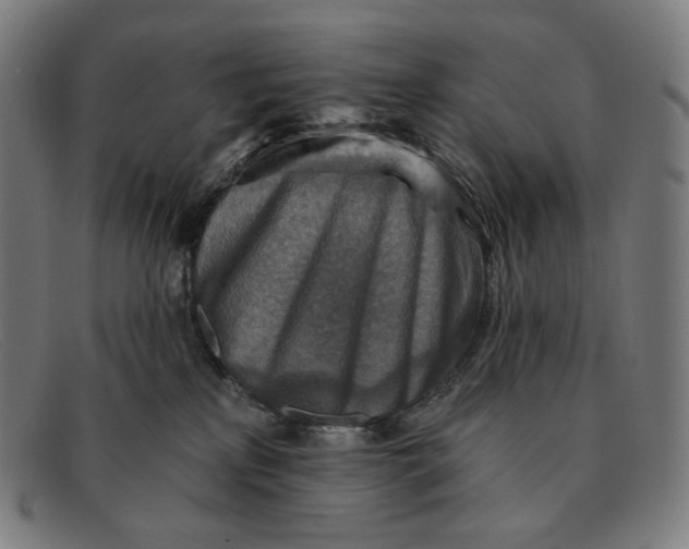 X0000091290233200708311323