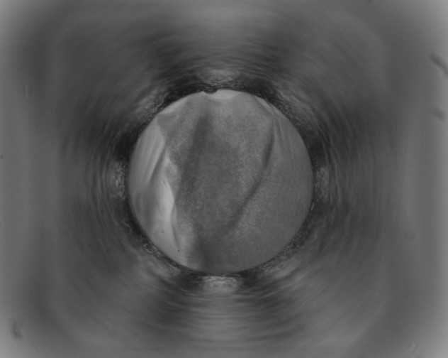 X0000091290234200708311323