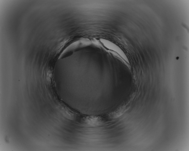 X0000091290235200708311323