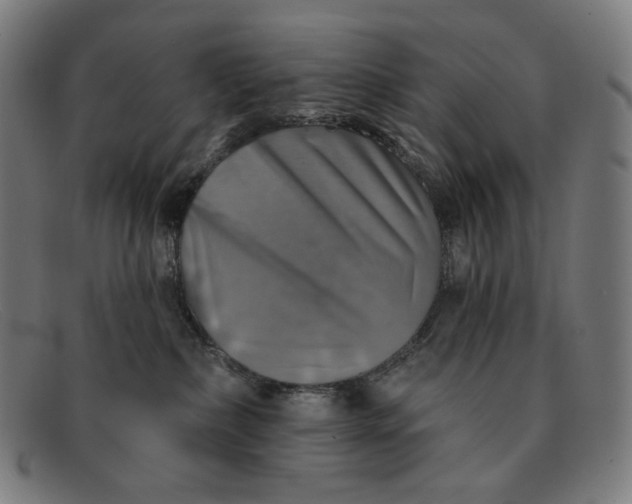 X0000091290236200708311323