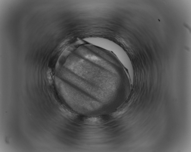 X0000091290237200708311323