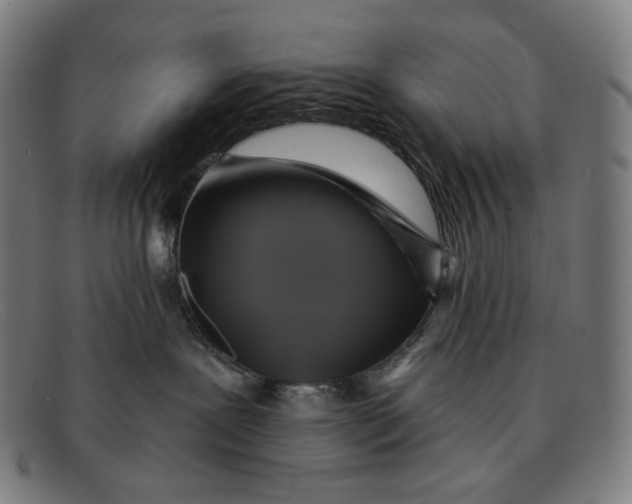 X0000091290239200708311323