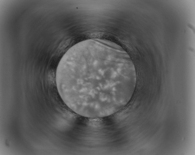 X0000091290240200708311323