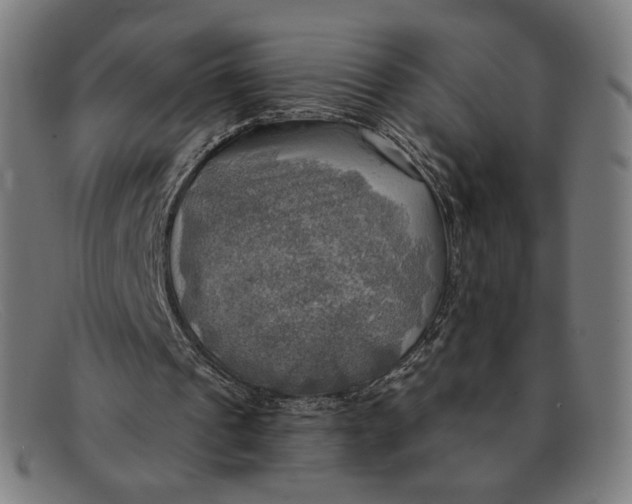 X0000091290241200708311323