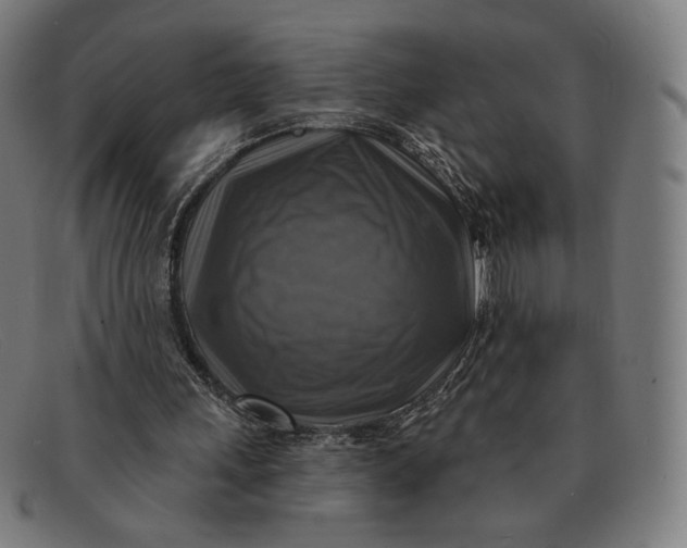 X0000091290243200708311323