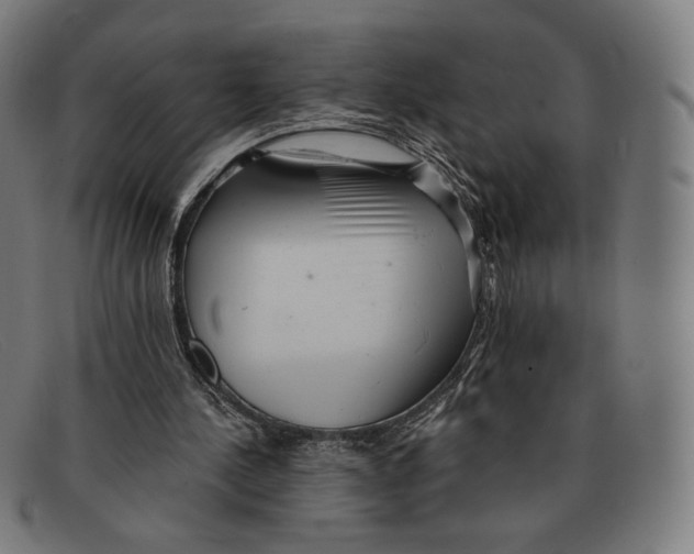 X0000091290244200708311323