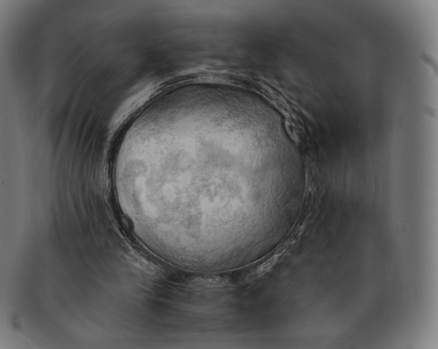 X0000091290245200708311323