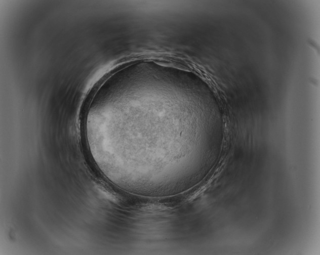 X0000091290246200708311323