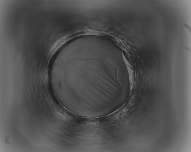 X0000091290247200708311323