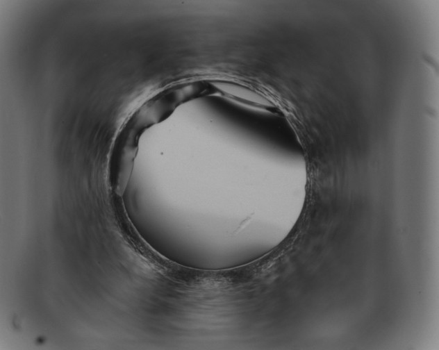 X0000091290248200708311323