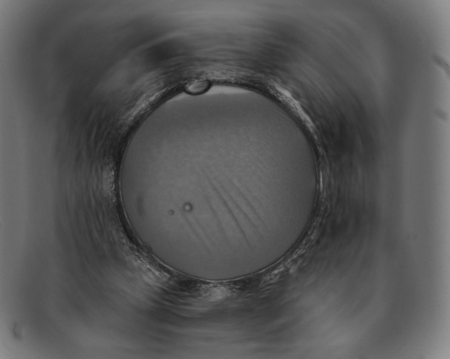 X0000091290249200708311323