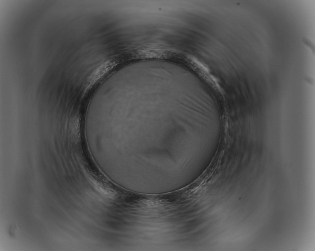 X0000091290250200708311323