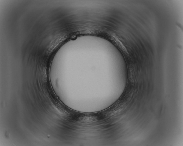 X0000091290251200708311323