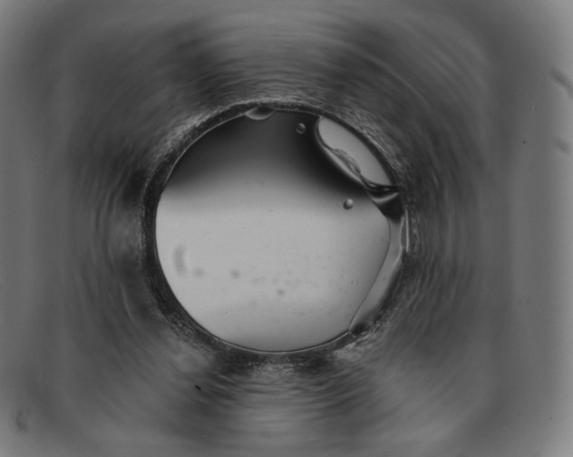 X0000091290252200708311323