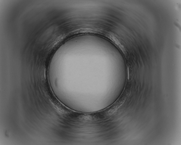 X0000091290253200708311323