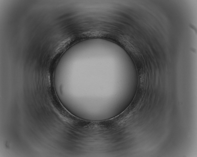 X0000091290254200708311323