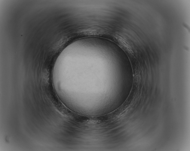 X0000091290255200708311323