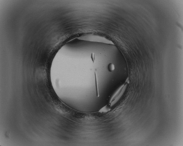 X0000091290256200708311323