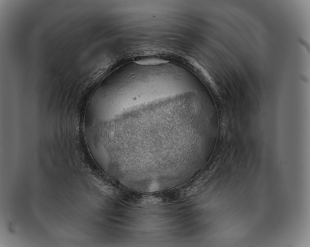 X0000091290257200708311323