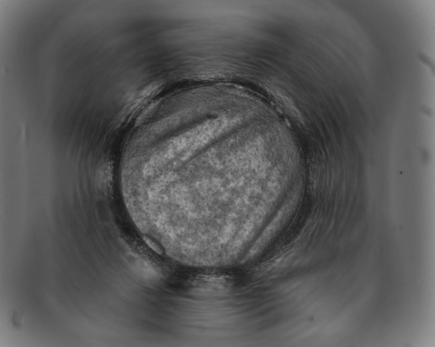 X0000091290260200708311323