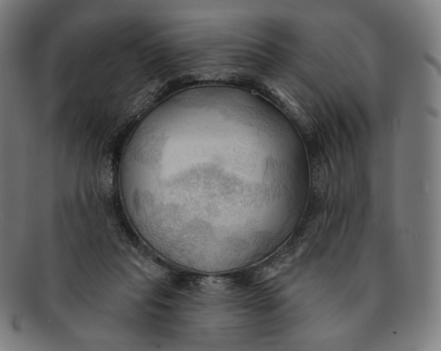 X0000091290261200708311323