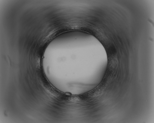 X0000091290262200708311323