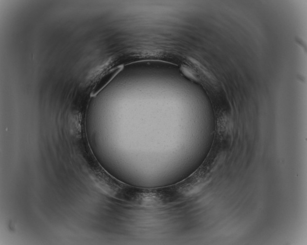 X0000091290264200708311323