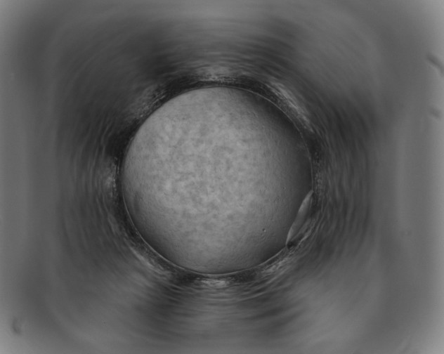 X0000091290265200708311323