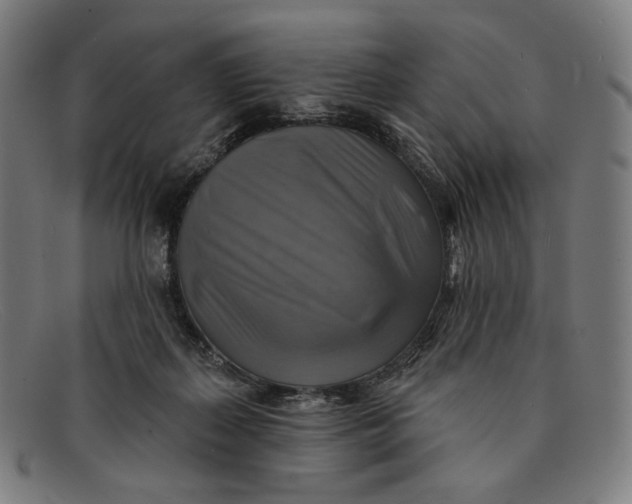 X0000091290267200708311323