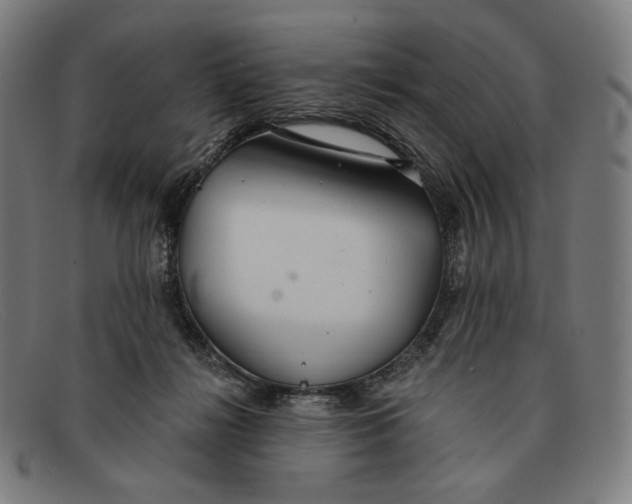 X0000091290268200708311323