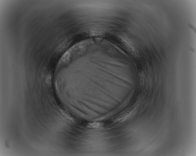 X0000091290269200708311323