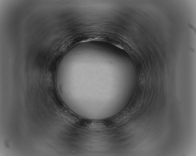 X0000091290270200708311323