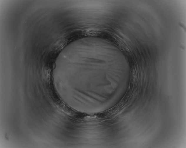 X0000091290271200708311323