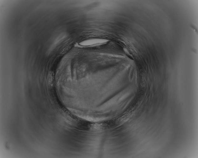 X0000091290273200708311323