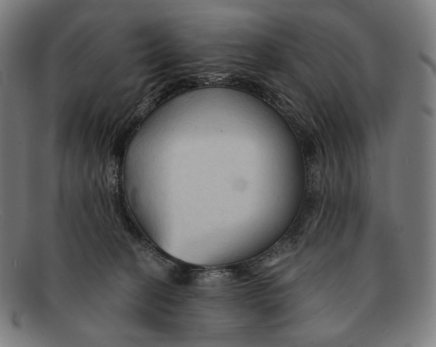 X0000091290274200708311323