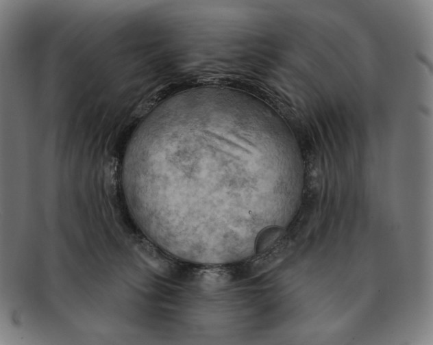 X0000091290275200708311323