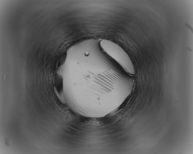 X0000091290276200708311323